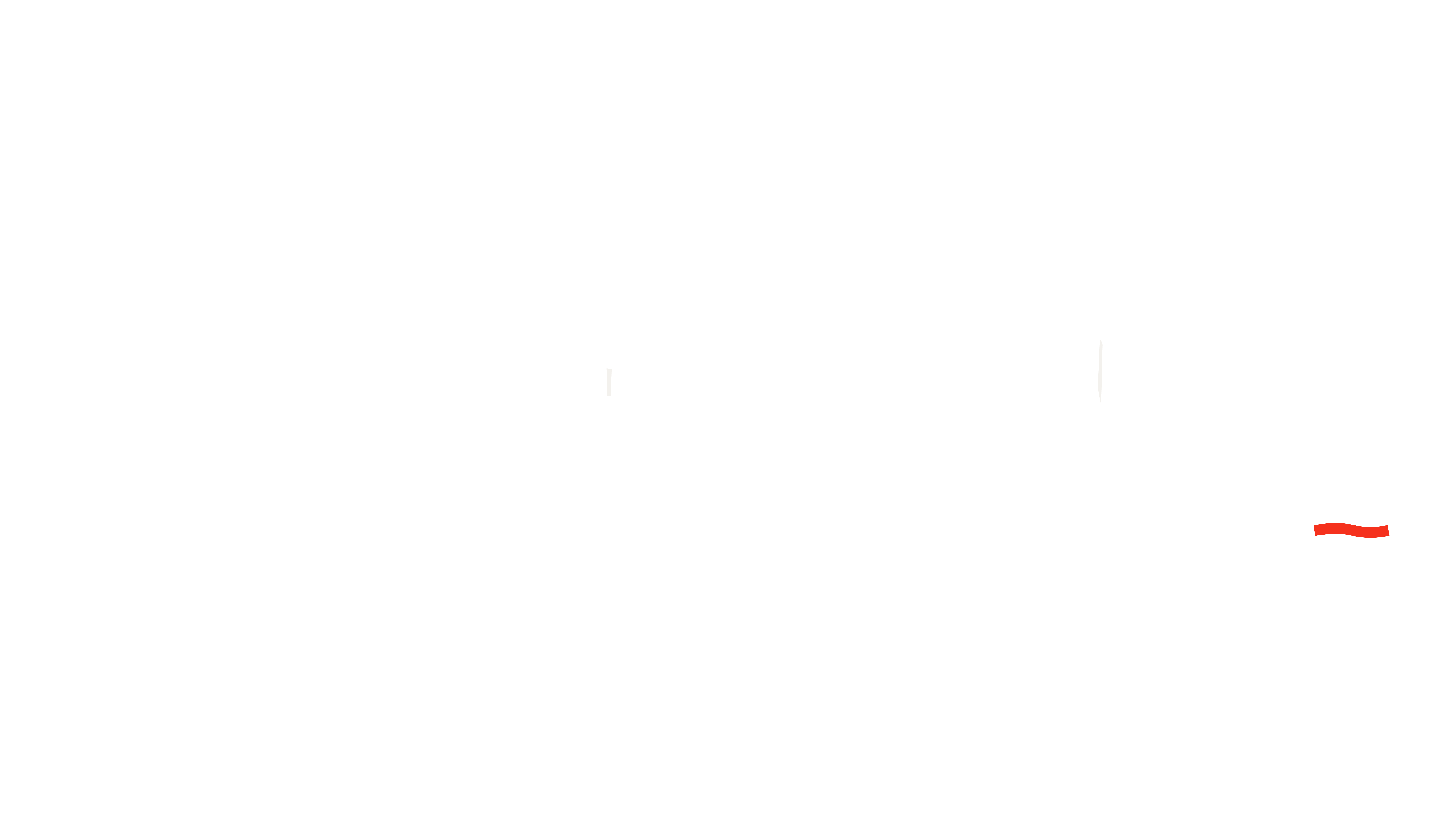 EVERYTHING.